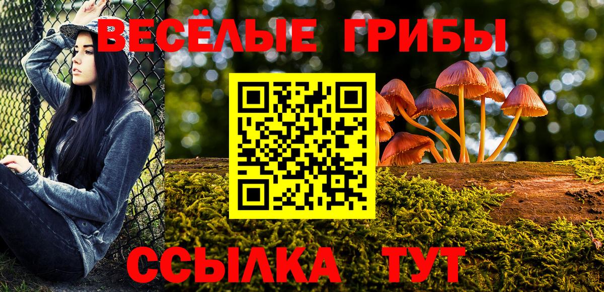 Галлюциногенные грибы ЛСД  Вход с VPN  где купить наркоту  Ржев 