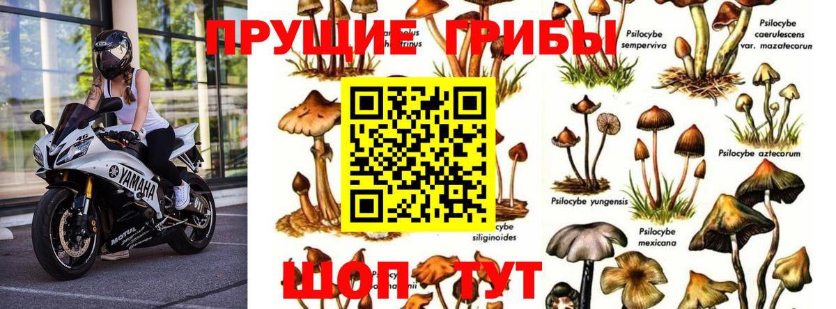 Псилоцибиновые грибы MAGIC MUSHROOMS Ржев